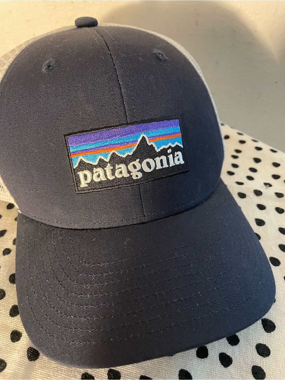 Patagonia Navy Hat with Multicolor Mountain Patch